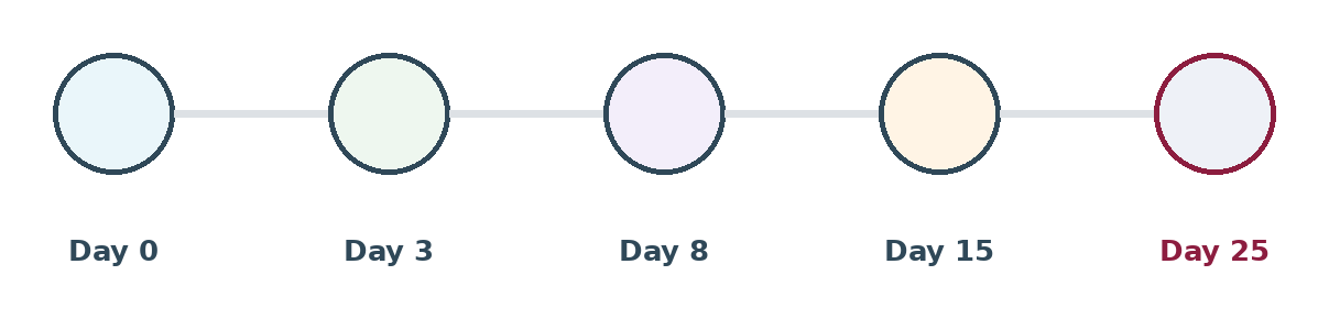 Five circles on a timeline labelled day 0, day 3, day 8, day 15 and day 25, with the last one highlighted.