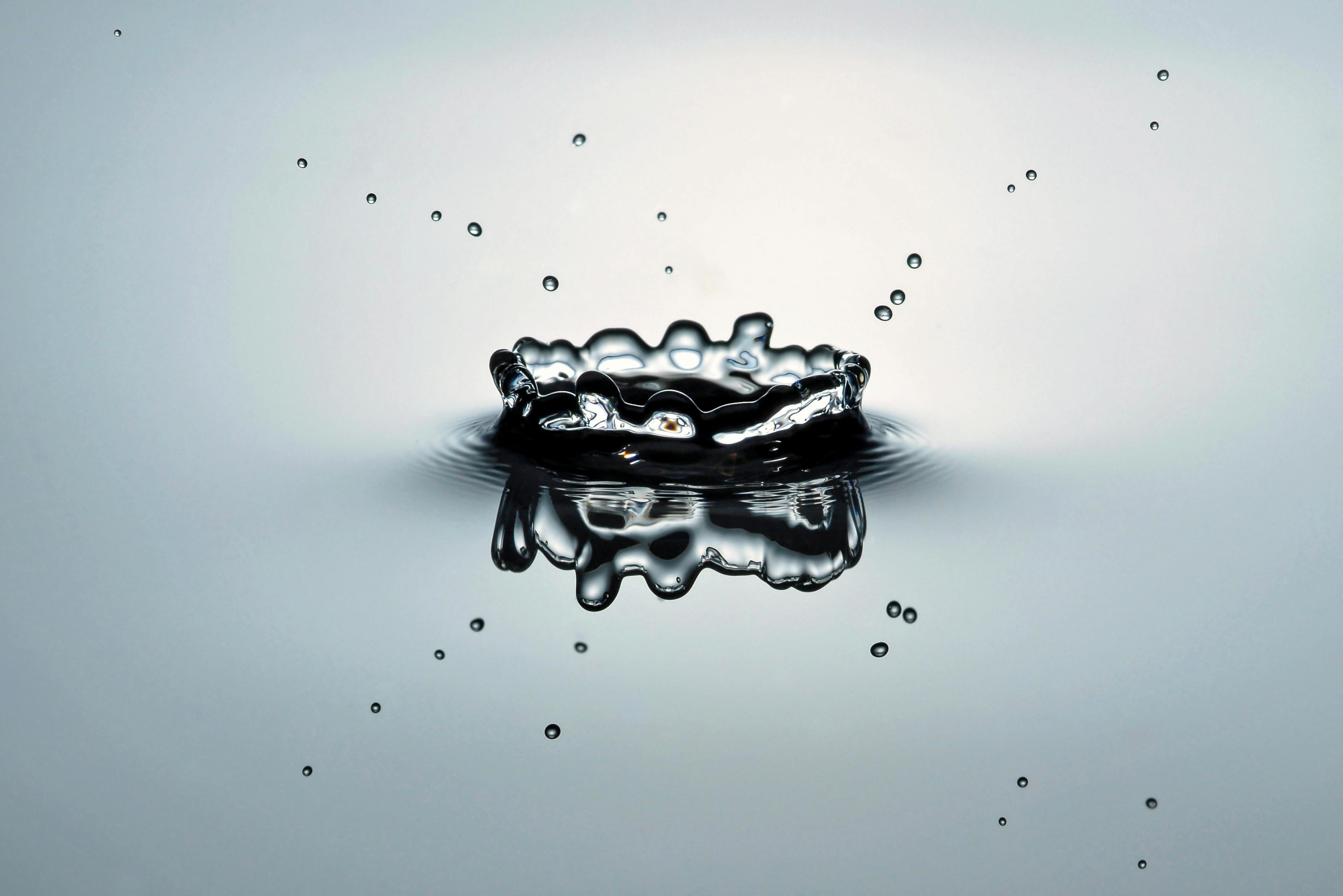 neverbeforeregisteredcompany Logo